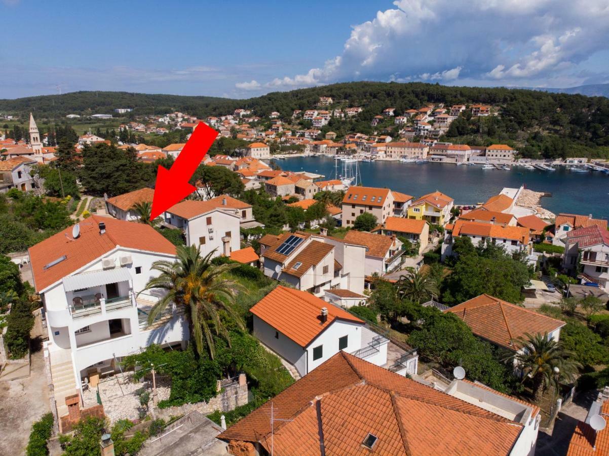 Palma Jelsa (Hvar)